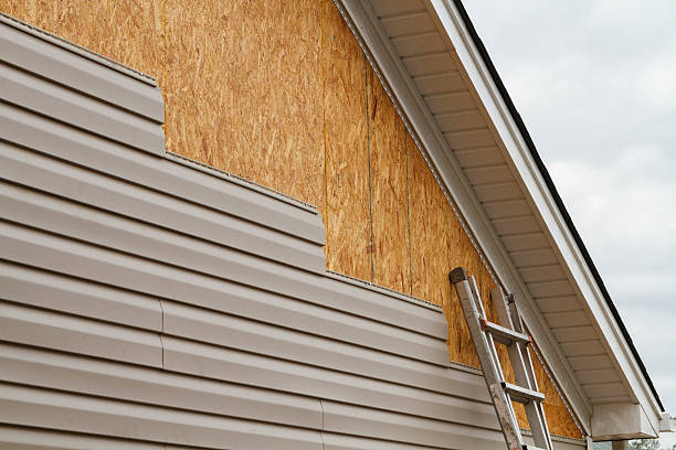 Professional Wood Siding technician working in Chester, IL